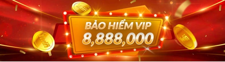 Bảo hiểm cho thành viên VIP